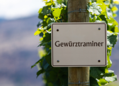 Gewurztraminer