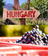 Hongarije