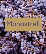 Monastrel
