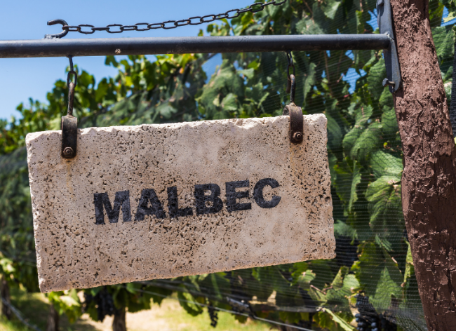Malbec