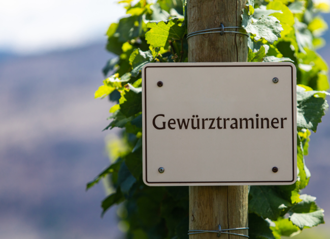 Gewurztraminer