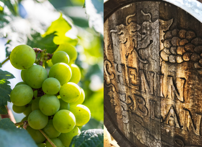 Chenin Blanc