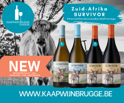 Survivor - Chenin