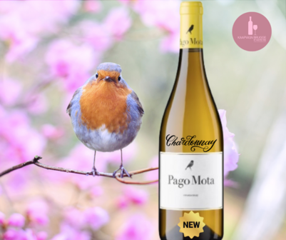 Arzuaga | Pago Mota | Chardonnay