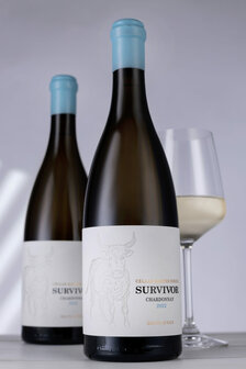 Survivor -  Cellar Master Chardonnay