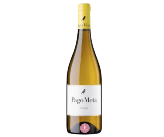 Arzuaga | Pago Mota | Chardonnay