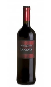 Arzuaga La Planta | MAGNUM